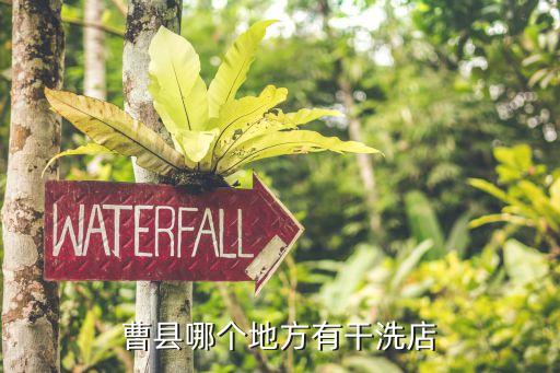 曹縣汽車內飾精洗廠家有哪些，曹縣泰通生物科技有限公司...
